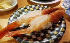 33 고독한 미식가 순례 회전초밥