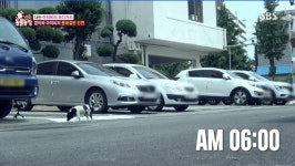 금일 동물농장 눈물샘짤