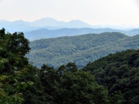 용인 백련사 | 여행 행사 풍경 사진 갤러리 용인 백련사 | 여행 행사 풍경 사진 갤러리 | 루리웹