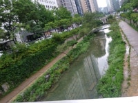 출근길에 들러보며 찍어보는 별거없는 사진북촌한옥마을 서울역 등등