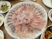 친구랑 회.. | 음식 갤러리 친구랑 회.. | 음식 갤러리 | 루리웹