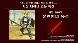 젤다무쌍 대재앙의 시대, 4인의 영걸과 임파