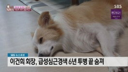 속보) 이건희 회장 사망 | 정치유머 게시판 속보) 이건희 회장 사망 | 정치유머 게시판 | 루리웹