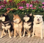 더쿠 - 혼자서만 계속 엽사 찍음.jpg