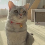 티모닝 | 정치유머 게시판 티모닝 | 정치유머 게시판 | 루리웹