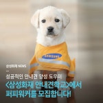 정재형이 하고 있는 안내견 퍼피워킹.jpg | 유머 게시판 | 루리웹