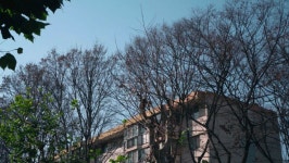 대천천 따라 걷기 | 대전 동구 대천천동로 | 국내여행 이야기 게시판 | RULIWEB 대천천 따라 걷기 | 대전 동구 대천천동로 | 국내여행 이야기... 