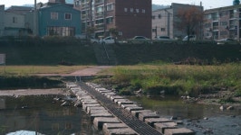 대천천 따라 걷기 | 대전 동구 대천천동로 | 국내여행 이야기 게시판 | RULIWEB 대천천 따라 걷기 | 대전 동구 대천천동로 | 국내여행 이야기... 