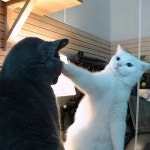 유저들은 넷마블이 뭔 말을 해도 아니꼽게 들을텐데 | 유머 게시판 | 루리웹