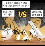 이 이상 다가오면... 적이다. | 유머 게시판 | 루리웹