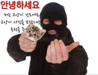 안녕하세요 강도예요