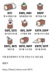 MBTI별 빵보관법