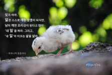 출처가 ㅈ같아서 명언으로 안 보이고 ㅈ같은 말 | (백업)유머 게시판(2020-2021) 출처가 ㅈ같아서 명언으로 안 보이고 ㅈ같은 말 | (백업)... 