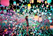 팀 라보