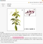 MINT HOUSE(박하집) | 민트박하 맛이 근본인 이유jpg