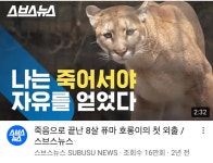 렉카질을 할 수 있다면 이런 것까지 한다