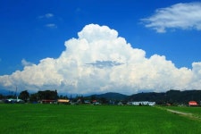 일본 여름의 시골 풍경 사진들jpg