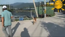 주인과 종교가다른 천재견 신덕이 ㅋ