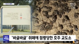 호주 근황.jpg | 유머 게시판 호주 근황.jpg | 유머 게시판 | 루리웹