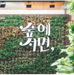 공기 개선을 위해 지하도를 숲으로 만든 부산시jpg