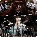 킹콩 정글 편 액정 게임기 KING KONG JUNGLE