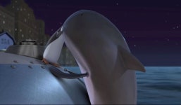 너희가 못봤던 돌고래랑 키스하는 짤