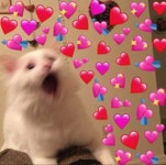 고양이 사진을 그림으로 그리기jpg