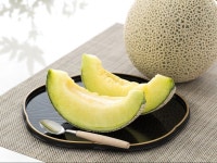 멜론의 진화단계