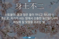 버튜버)의외로 신토불이를 애용하는 유게 | 유머 게시판 버튜버)의외로 신토불이를 애용하는 유게 | 유머 게시판 | 루리웹