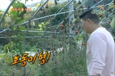 1박2일 몽둥이 박 발견