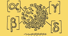 의외로 많은 사람들이 잘못 알고 있는 과학 상식 | 유머 게시판 의외로 많은 사람들이 잘못 알고 있는 과학 상식 | 유머 게시판 | 루리웹