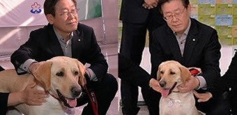 개를 너무 사랑하신다는 도지사님 성남시장 시절 사진들.jpg | 정치유머 게시판 개를 너무 사랑하신다는 도지사님 성남시장 시절 사진들.jpg...