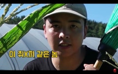 농사를 망치는 메뚜기를 쫒으려는 농부