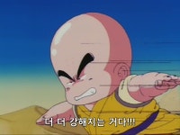 드래곤볼크리링의 리즈시절때 모습