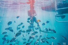 행복한_여행을_떠나야하는_이유.jpg | 여행 행사 풍경 사진 갤러리 행복한_여행을_떠나야하는_이유.jpg | 여행 행사 풍경 사진 갤러리 | 루리웹