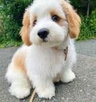 여기서 이런 말 하면 안되는거 아는데