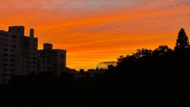 오늘자 해질녘 | 통합----- 오늘자 해질녘 | 통합----- | 루리웹