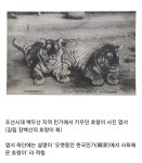조선시대 새끼 길냥이를 기른 집 | 유머 게시판 조선시대 새끼 길냥이를 기른 집 | 유머 게시판 | 루리웹