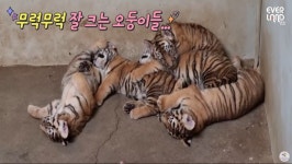 아름다운우리나라강산졸귀ㅋㅋ