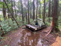 추석 제주 자연휴양림 캠핑다녀왔습니다