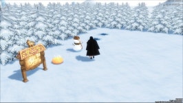 마비노기 농장에 얼음낚시랑 눈사람도있음