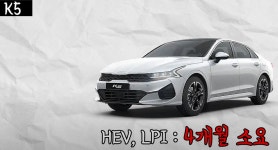 현재 없어서 못파는 자동차 시장 스압주의