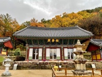 비오던날 달성군 용연사 | 국내여행 이야기 게시판 비오던날 달성군 용연사 | 국내여행 이야기 게시판 | 루리웹