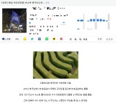 제주도 미로공원에 얽힌 슬픈 전설 | 유머 게시판 제주도 미로공원에 얽힌 슬픈 전설 | 유머 게시판 | 루리웹
