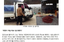 재명이네 마을 혹시 이거 노린거냐? | 정치유머 게시판 재명이네 마을 혹시 이거 노린거냐? | 정치유머 게시판 | 루리웹
