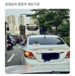 삼겹살 : 뜻밖의 여정 | 유머 게시판 삼겹살 : 뜻밖의 여정 | 유머 게시판 | 루리웹