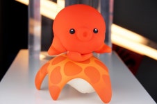 초스압2021년에 찍은 사진 모음집