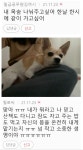 개 키우는 이유가 뭐냐고? | 유머 게시판 개 키우는 이유가 뭐냐고? | 유머 게시판 | 루리웹