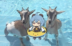 원신) 건전한 감우 | 유머 게시판 원신) 건전한 감우 | 유머 게시판 | 루리웹