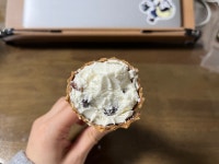 강릉초당두부 콩지팥지 콘 아이스크림